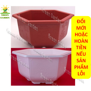 Chậu nhựa trồng cây 20x13cm, chậu nhựa lục giác trồng cây bonsai