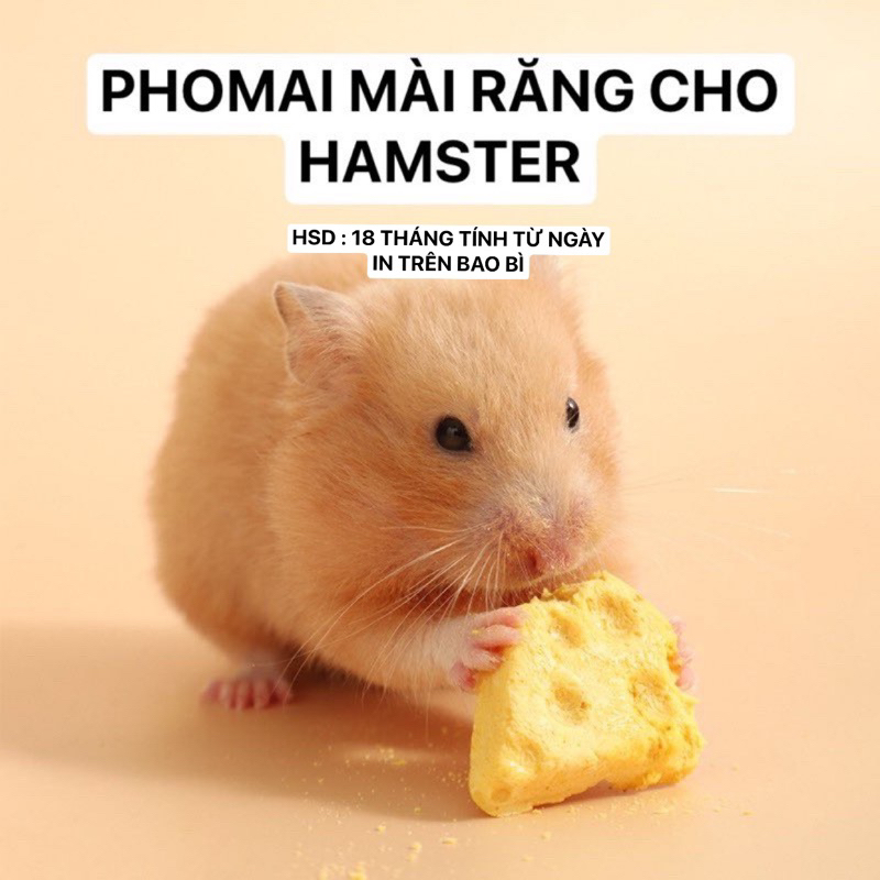 Phomai mài răng cho Hamster / Sóc / Nhím