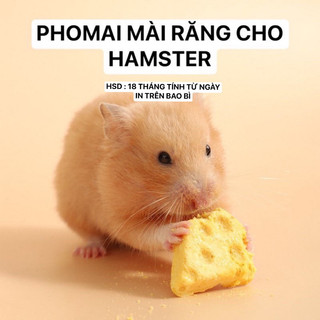 Phomai mài răng cho Hamster / Sóc / Nhím