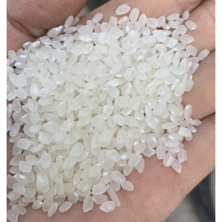 Gạo Séng Cù bao 10kg (hoả tốc Hà Nội)
