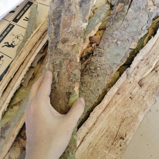 HOA/LÁ BẦN, VỎ BẦN, CẬC BẦN (1kg)