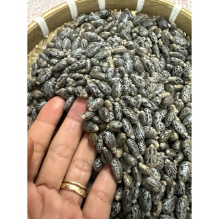 Hạt thầu dầu  tía  kích  mọc  tóc  100gr
