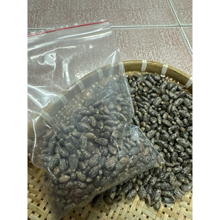 Hạt thầu dầu  tía  kích  mọc  tóc  100gr