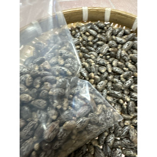 Hạt thầu dầu  tía  kích  mọc  tóc  100gr