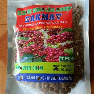 500gram hạt giống cà phê TR4