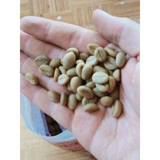 1kg hạt giống cà phê tr4