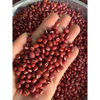 Đỗ đỏ nấu cháo, nấu chè, làm ngũ cốc túi 1kg