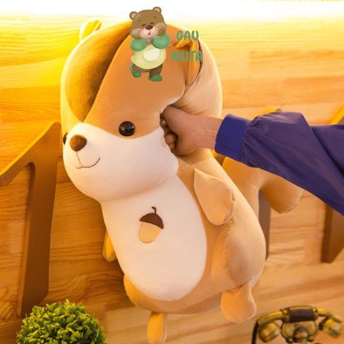 Gấu Bông Sóc Hạt Dẻ - Thú Nhồi Bông Sóc Hạt Dẻ Cao Cấp ĐĂNG KHOA