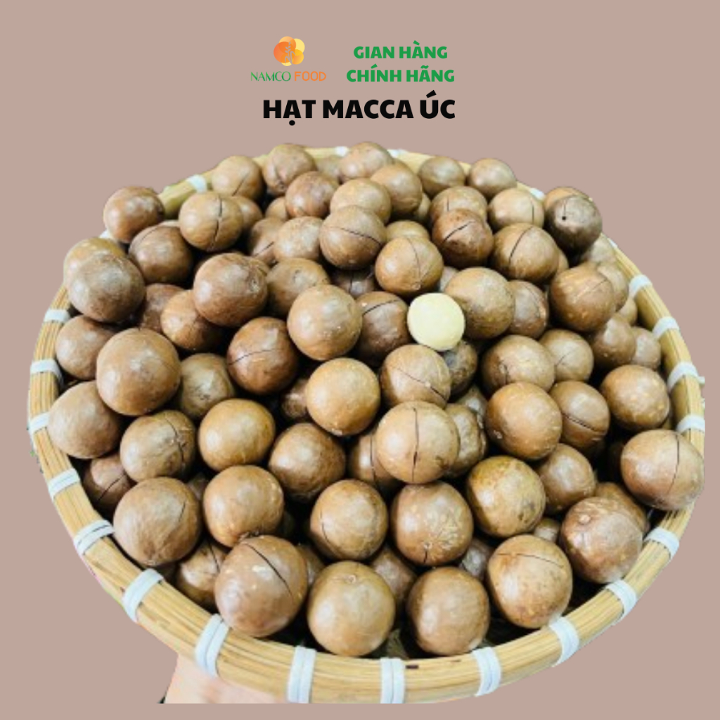 Hạt macca Daklak 24/27 sấy chín còn vỏ thơm ngon Namco Food
