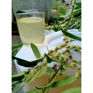 Mật ong trắng (hoa blong song) chai 1lit