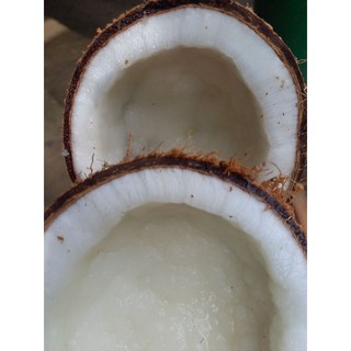 DỤNG CỤ NẠO DỪA THỦ CÔNG BẰNG GỖ