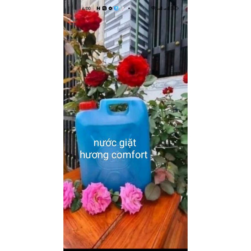 5l nước giặt hương comfor