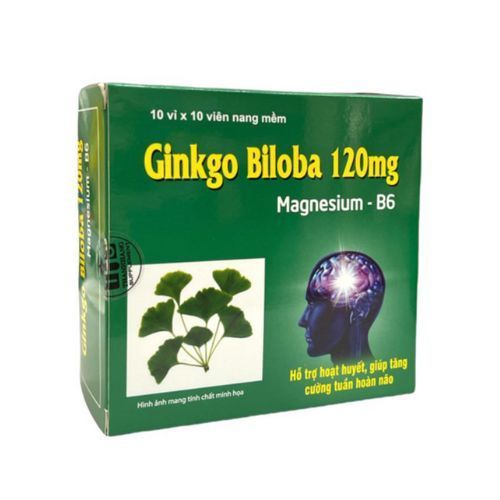 Ginkgo Biloba 120mg Bổ Sung Dưỡng Chất Cho Não Q10 100 viên