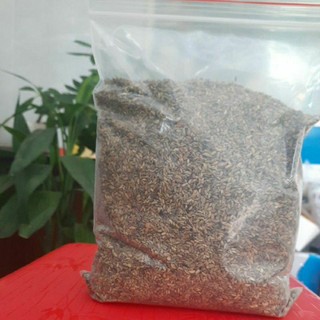 Nụ hoa hòe sấy khô đắk lắk - 1kg