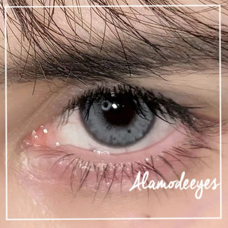 Lens xám vân mắt