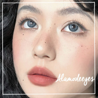 Lens xám vân mắt