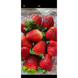 DÂU TÂY ĐÀ LẠT THƠM NGON NỨC À 🍓🍓🍓