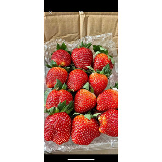 DÂU TÂY ĐÀ LẠT THƠM NGON NỨC À 🍓🍓🍓
