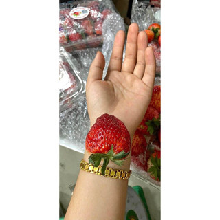 DÂU TÂY ĐÀ LẠT THƠM NGON NỨC À 🍓🍓🍓