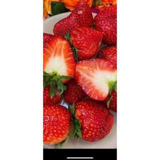 Dâu tây đà lạt thơm ngon nức à 🍓🍓🍓