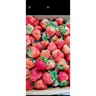 DÂU TÂY ĐÀ LẠT THƠM NGON NỨC À 🍓🍓🍓