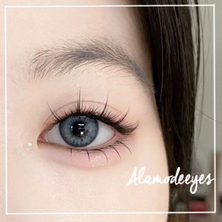Lens xám vân mắt