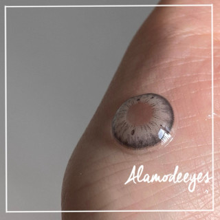 Lens xám vân mắt