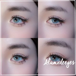 Lens Xanh tây