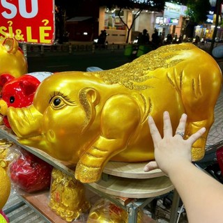 Heo đất size khủng lồ hỏa tốc khu hcm (dài 70 cm