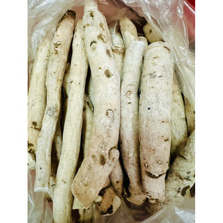 Bạch Thược Nguyên Củ[1KG]