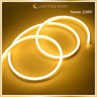 Combo 5M 10M 15M 20M Dây Led neon 220V (gồm nguồn), dây led trang trí chống nước, trang trí bảng hiệu, noel lễ tết