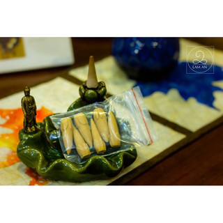 Nụ hương, nụ trầm, nụ bài, nụ cỏ hương bài vetiver- hương nụ lam an