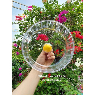 Wheel carcool trong suốt cho hamster vận động, wheel gắn lồng xinh xẻo