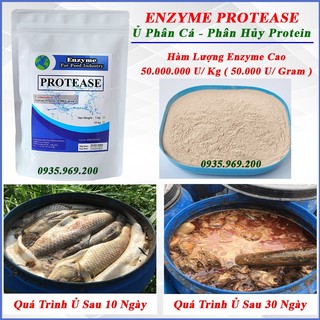 100gram Enzyme Protease, phân hủy protein dùng ủ phân cá, bổ sung thức ăn chăn nuôi, xử lý nước ao nuôi cá