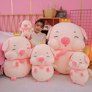 Gấu bông heo vương miện cosplay đồng giá siêu cu te