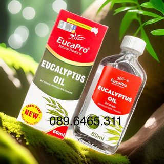 Tinh dầu khuynh diệp Eucapro 60 ml - EUCAPRO EUCALYPTUS OIL 60ML (eukybear)