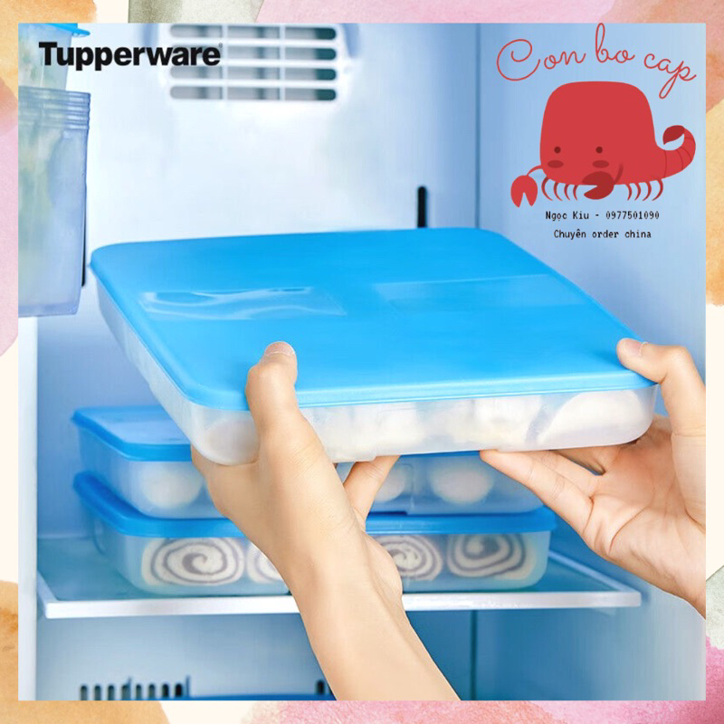 Hộp Nhựa Dẹt Trữ Thực Phẩm Ngăn Đông 1,3L Chính Hãng Tupperware- Bảo Quản Đồ Tươi Sống Thịt Cá Tôm, Thức Ăn Chế Biến Sẵn