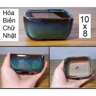 Chậu chữ nhật cạnh đứng trồng cây bonsai mini
