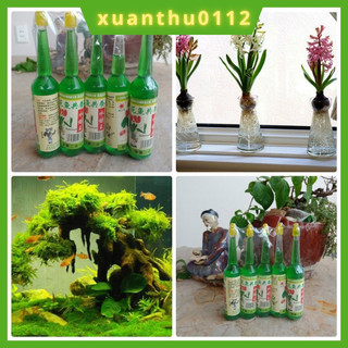 Dung dịch thuỷ canh chuyên dùng cho hoa lan và cây cảnh