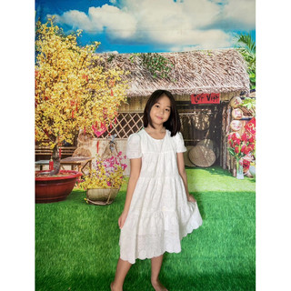 Phông nền chụp ảnh Tết hoa mai ngang 2m x cao 2,5m