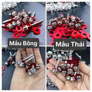 ỐC LỐC MÁY SALAYA TẶNG FULL LÔNG ĐỀN ĐỎ