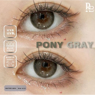 Kính Áp Tròng RUBYEYES Màu Xám Pony Gray, Lens Mắt Màu Xám Trà Tặng Khay Gương Dụng Cụ BST BEARLENS