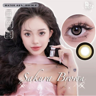 Kính Áp Tròng RUBYEYES Màu Nâu Sakura Brown, Lens Màu Nâu Tặng Khay Gương Dụng Cụ BST BEARLENS