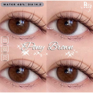 Kính Áp Tròng RUBYEYES Tặng Khay Gương Dụng Cụ BST BEARLENS Pony Brown