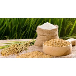 1KG Gạo Quê BC Thái Bình Loại Ngon