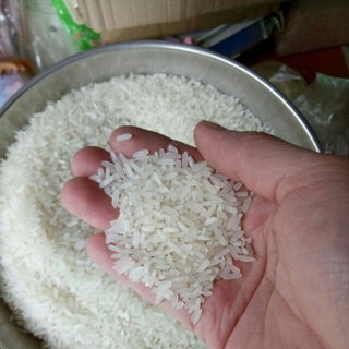 Gạo Quê BC Thái Bình loại ngon