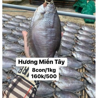 Khô sặc rằn phơi khô 4 nắng