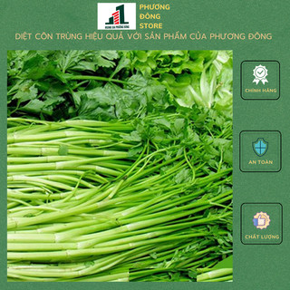 Hạt giống rau cần cọng xanh 5g
