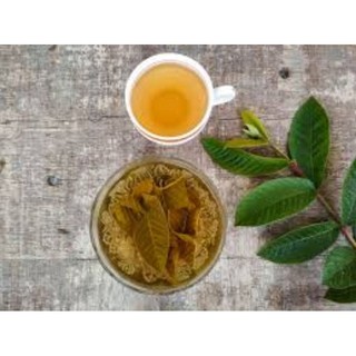 500g lá ổi tươi