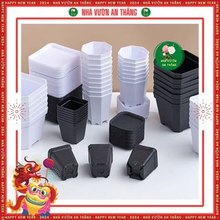  COMBO 5 chậu nhựa vuông ươm hạt trồng cây con sen đá nhiều màu 